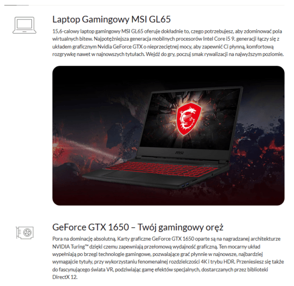 Example of product description - online store